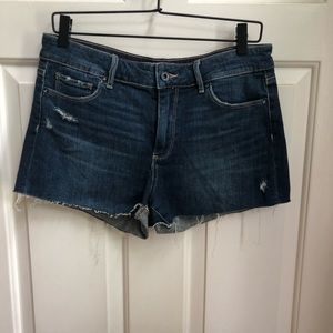 Paige shorts-28